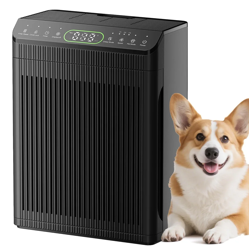 Graphite Evalit ET066 air purifier