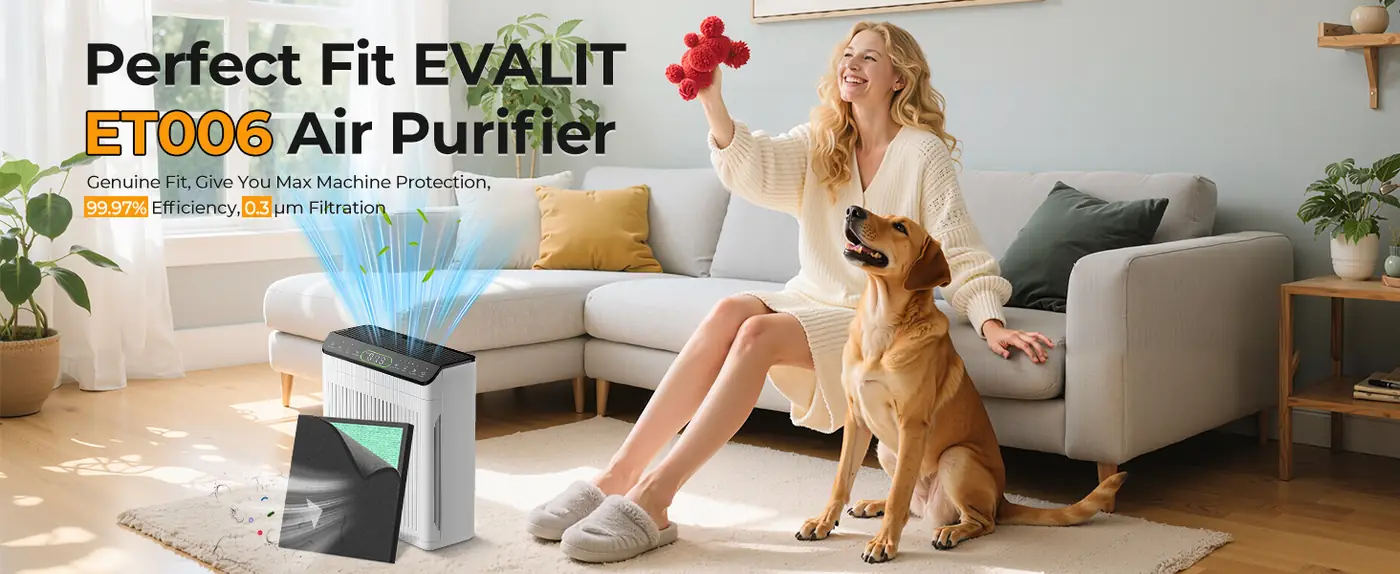 Evalit ET066 exact-fit replacement filter
